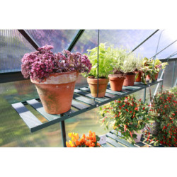 Étagère rabattable en aluminium émeraude – L120cm – pour les serres de jardin Vitavia