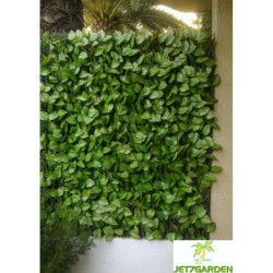 Treillis extensible feuilles de rosier 1x2m - Jet7garden