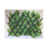 Treillis extensible feuilles de rosier 1x2m - Jet7garden