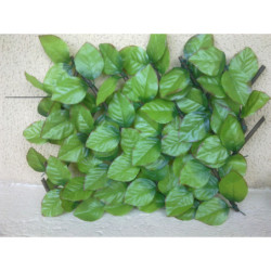 Treillis extensible feuilles de rosier 1x2m - Jet7garden