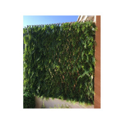 Treillis extensible feuilles de fougères 1x2m - Jet7garden