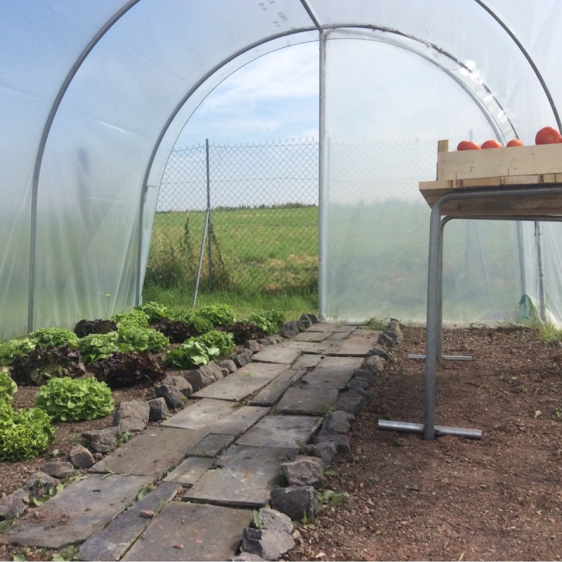 Bâche de toit pour serres tunnel - Serres Tonneau