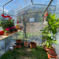 Fond sans porte pour serre Primeur 2x2,7m - Serres Tonneau