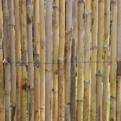 Canisse en tiges de roseaux fendus naturels PREMIUM - 1x3m - NATURE