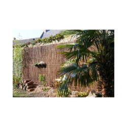 Canisse naturelle en fagot d'osier fin - certifié FSC® - 2x3m - NATURE