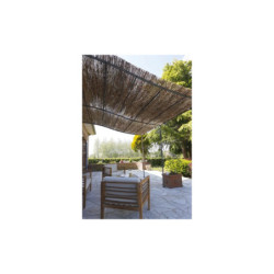 Canisse naturelle en roseau des marais - 1,5x3m - NATURE