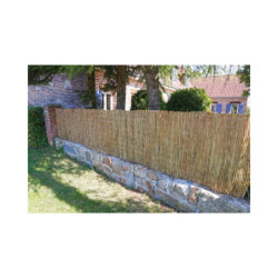 Canisse naturelle en roseau des marais - 1x3m - NATURE