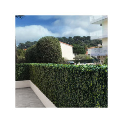 Haie artificielle laurier cerise 1mx1m - France Green