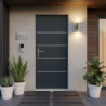 Porte d'entrée Lisandre en aluminium 96x218cm - gris anthracite - poussant droit - X-METAL