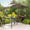 DCB Garden Tonnelles de jardin Aluminium Gris 3.6m²