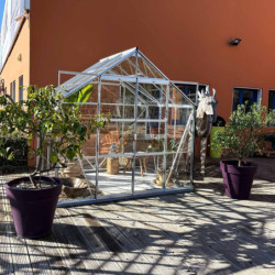 Serre Laurus Uranus 4,90m² en aluminium naturel et verre trempé 3mm + embase incluse - Natura Lams