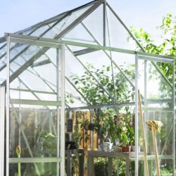 Halls Serre de jardin en verre Gris 8.3m²