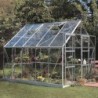 Halls Serre de jardin en verre Gris 8.3m²
