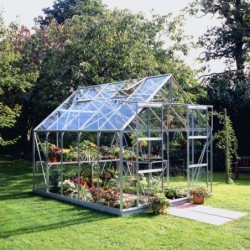 Halls Serre de jardin en verre Gris 8.3m²