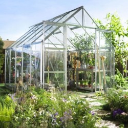 Halls Serre de jardin en verre Gris 8.3m²