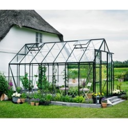 Halls Serre de jardin en verre Vert 11.5m²