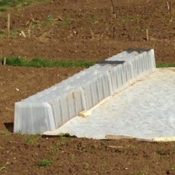 Modul'o Serre tunnel Blanc