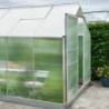 Halls Serre de jardin en polycarbonate Gris 5m²