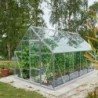 Halls Serre de jardin en verre Gris 9.9m²