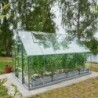 Halls Serre de jardin en verre Gris 9.9m²