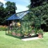 Halls Serre de jardin en verre Vert 5m²