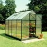 Halls Serre de jardin en polycarbonate Vert 5m²