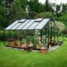 Juliana Serre de jardin en verre Gris 16.2m²