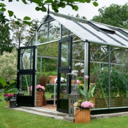 Juliana Serre de jardin en verre Gris 16.2m²