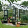 Juliana Serre de jardin en verre Gris 16.2m²