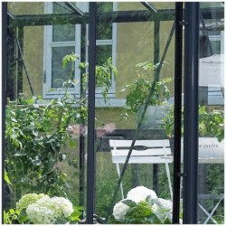 Juliana Serre de jardin en verre Gris 16.2m²