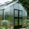 Juliana Serre de jardin en polycarbonate Gris 18.8m²