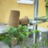 Juliana Serre de jardin en polycarbonate Gris 18.8m²