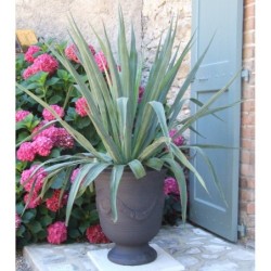 Terre Figuière Vase d'Anduze Terre cuite Anthracite
