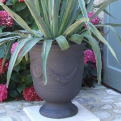 Terre Figuière Vase d'Anduze Terre cuite Anthracite
