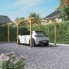 Cerland Carport Bois massif Marron 15.4m²