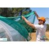 Richel Accessoires serre de jardin Polyéthylène maillé Vert