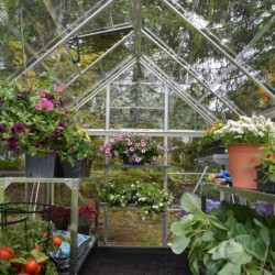Canopia by Palram Serre de jardin en polycarbonate Gris 4.6m²