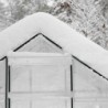 Canopia by Palram Serre de jardin en polycarbonate Gris 4.6m²