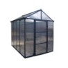 Canopia by Palram Serre de jardin en polycarbonate Gris 4.8m²