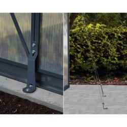 Canopia by Palram Serre de jardin en polycarbonate Gris 4.8m²