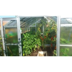 Limes Serre de jardin en verre Gris 8.45m²