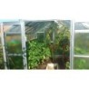 Limes Serre de jardin en verre Gris 8.45m²