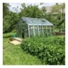 Limes Serre de jardin en verre Gris 9.18m²
