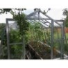 Limes Serre de jardin en verre Gris 13.7m²