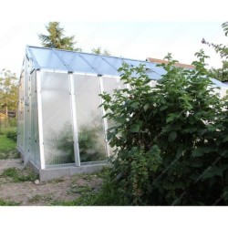 Limes Serre de jardin en verre Gris 13.7m²