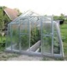 Limes Serre de jardin en verre Gris 13.7m²