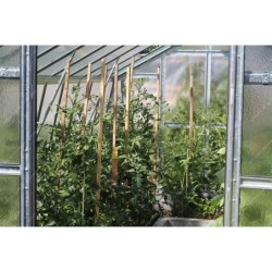 Limes Serre de jardin en verre Gris 13.7m²