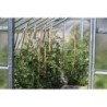 Limes Serre de jardin en verre Gris 13.7m²