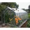 Limes Serre de jardin en verre Gris 13.7m²