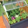 Canopia by Palram Serre de jardin en polycarbonate Gris 1.4m²
